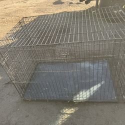 Case For Dogs 