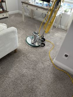 Cepillado Y Limpieza De Alfombras
