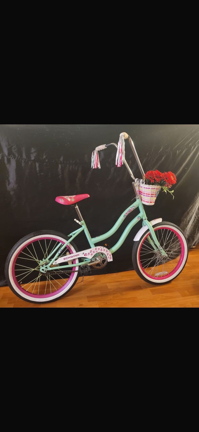 Branded Bike 20 Inches