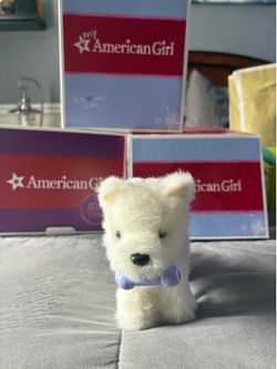 American Girl Pomeranian puppy