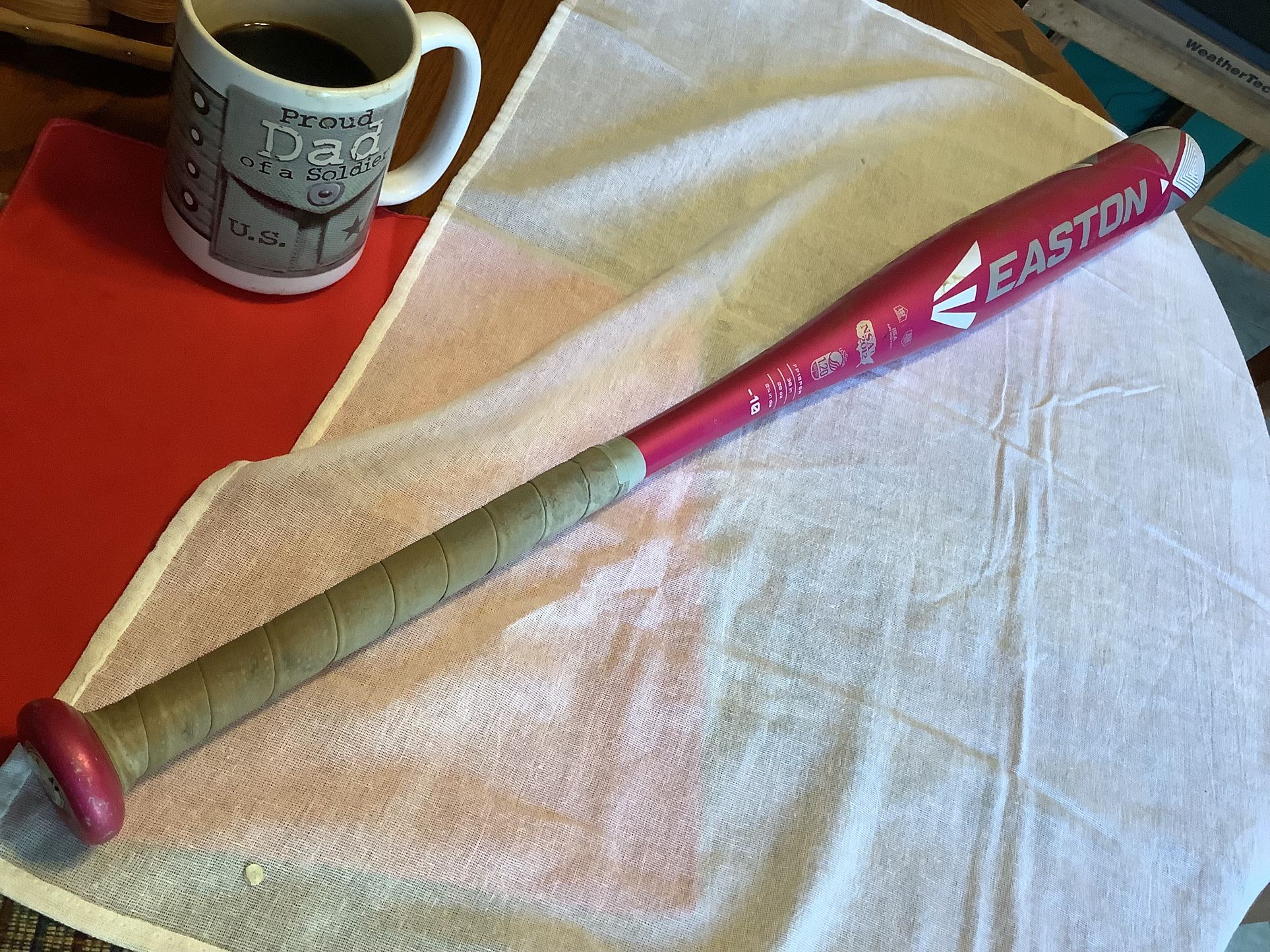 Easton Sapphire Softball Bat -10, 30” And 20 Ounces, ISA Approved In Excellent Condition