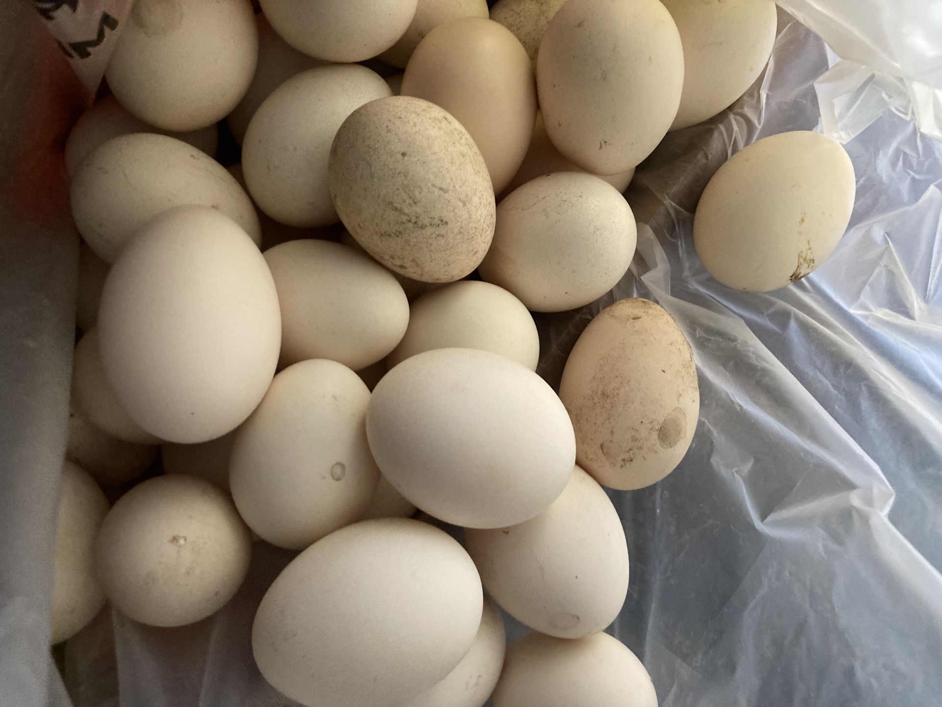 Natural Chicken Eggs