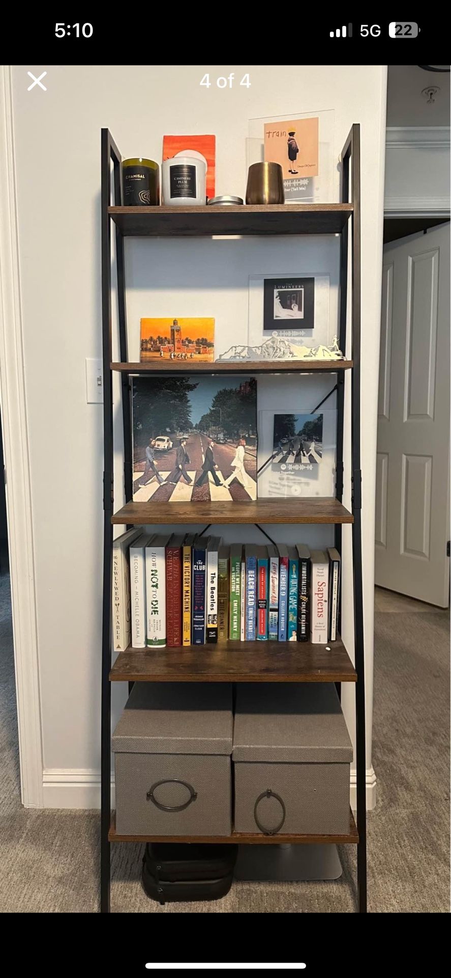 5 Tier Ladder Shelf