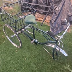 3 Wheel Beach Cruiser 