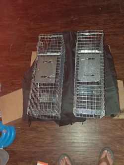 Small animal traps with a cover.