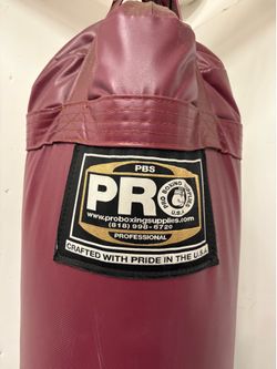 Pro boxing professional heavy bag