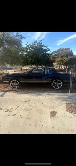 88 luxury sport
