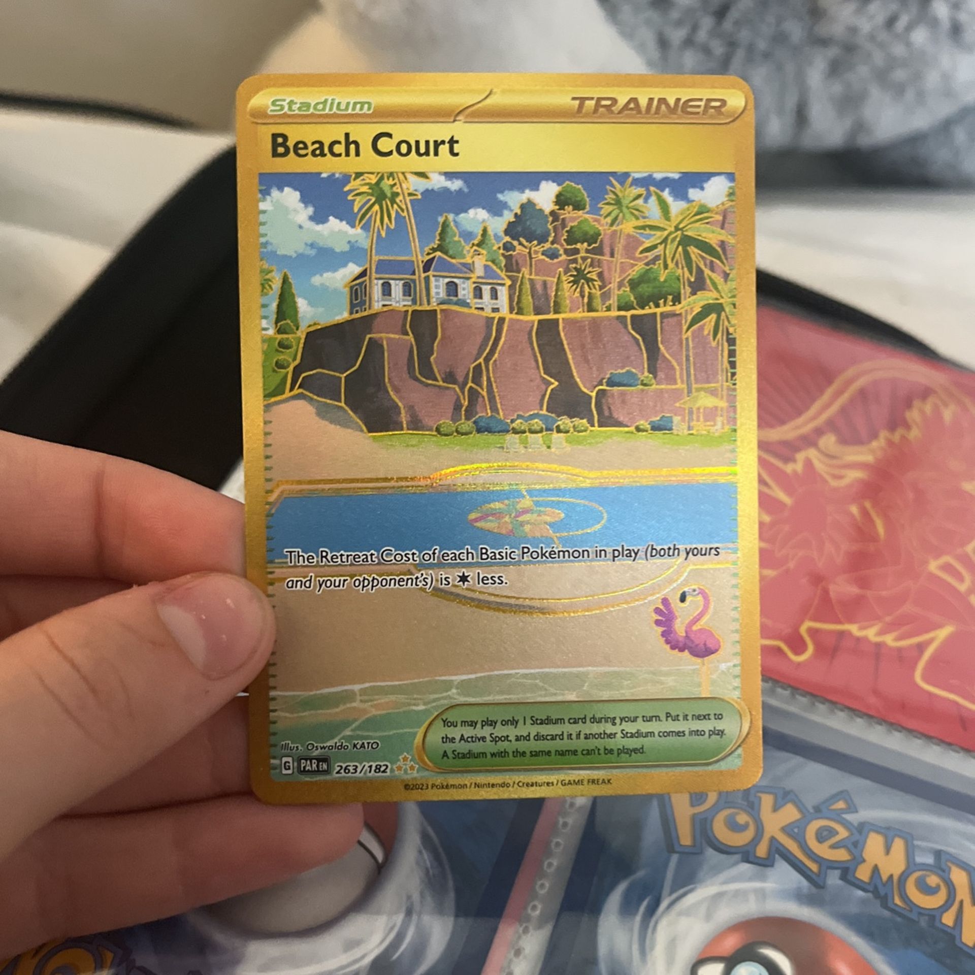 Gold Beach Court Pokémon