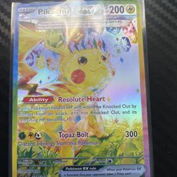 Pikachu Ex 238/191
