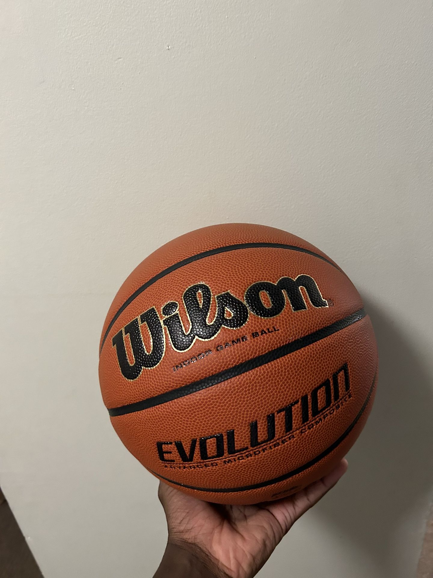 Wilson Evolution Ball 
