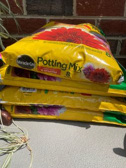 Balcony Gardening Bundle
