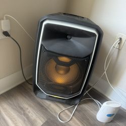 ION Portable Speaker