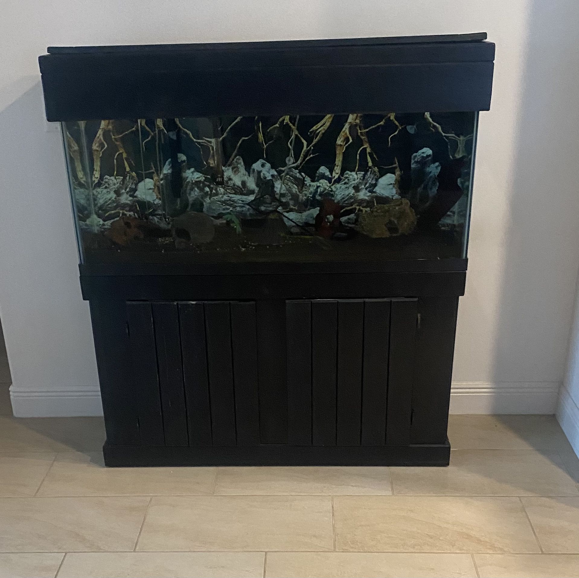 Fish Tank And Stand