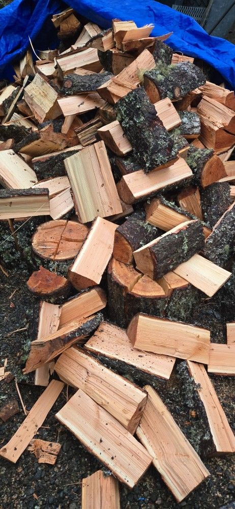 Firewood Season Fir