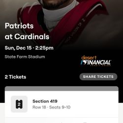 Patriots Vs Cards