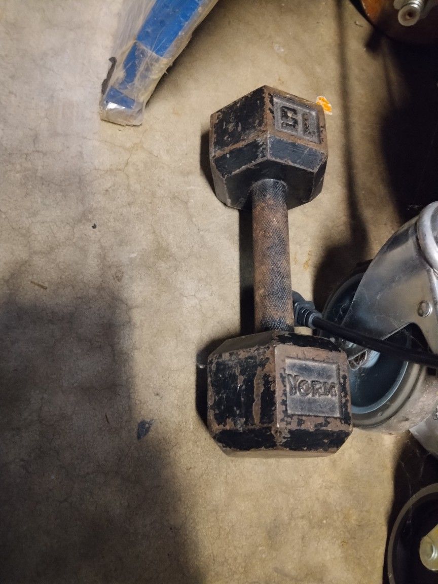 15lb iron dumbbell