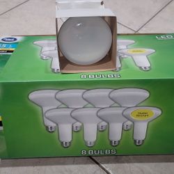 BR30 LED Light Bulbs