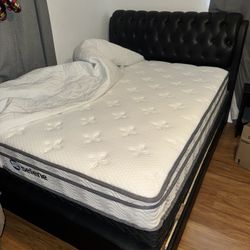 Fairly New Queen Mattress And Box Spring