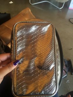 Brush case