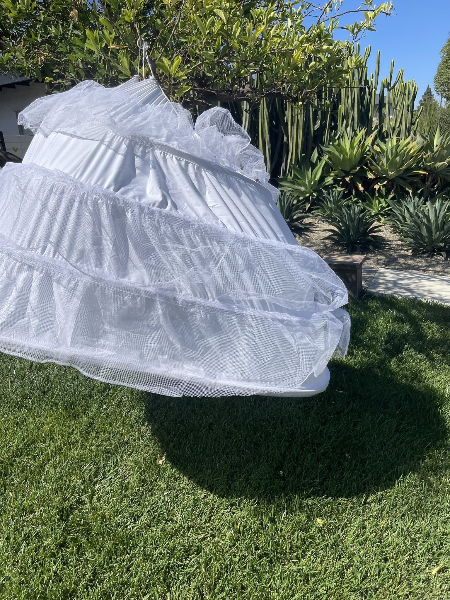 Crinoline