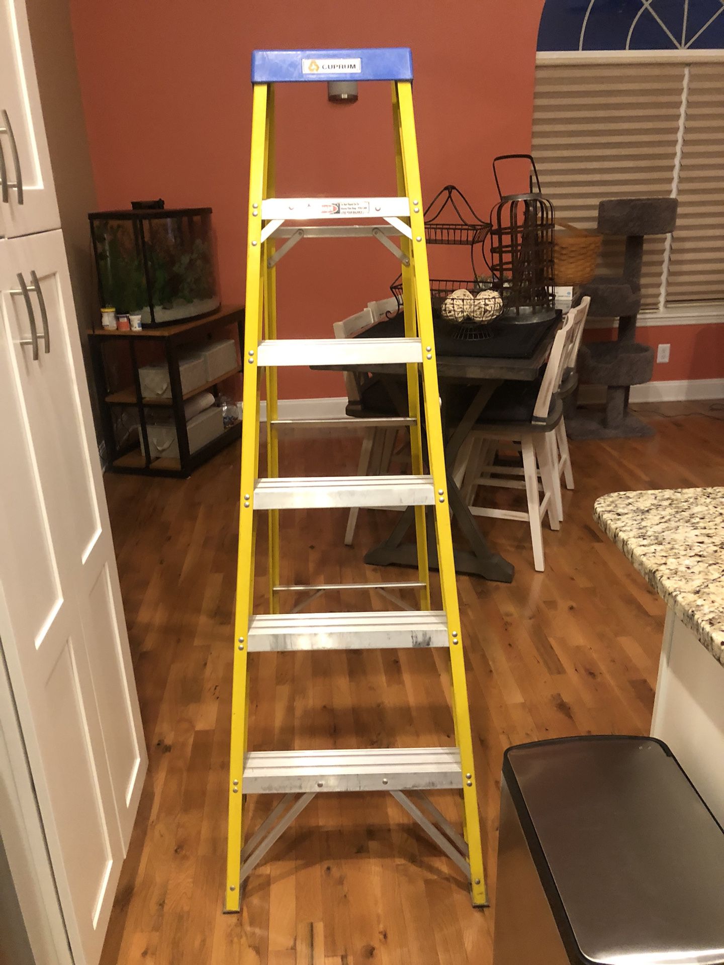 6’ Ladder 