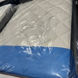 All Mattresses Must Go