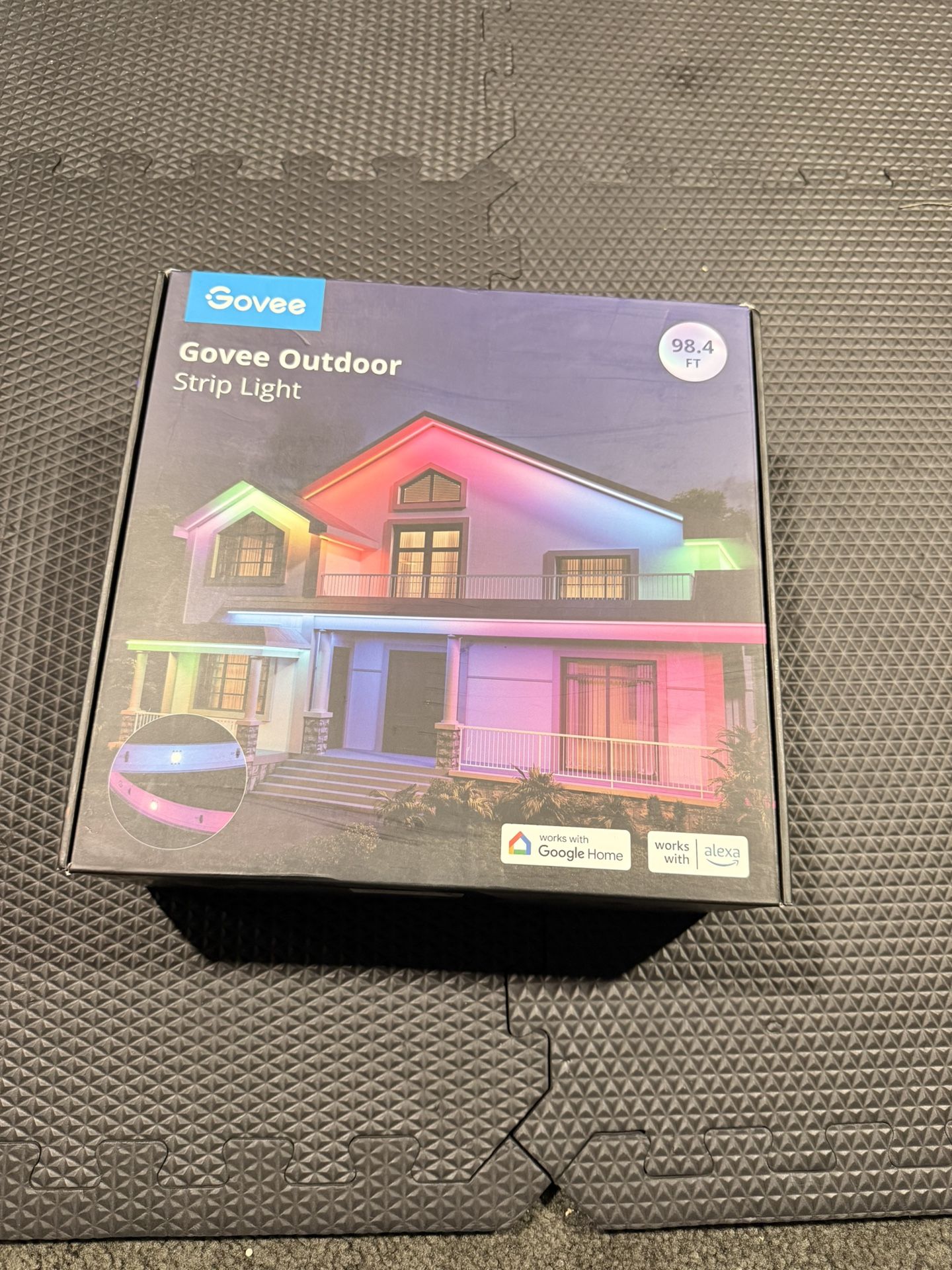 Govee Permanent LED Lights