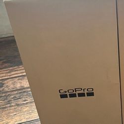 Go Pro Hero 11 -BLACK Brand New 