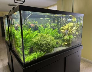 Complete 120-Gallon Aquarium Setup