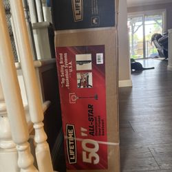 Basketball Hoop Lifetime 50"