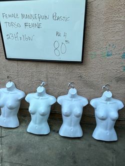Female Plastic Torso Mannequins – Set of 4