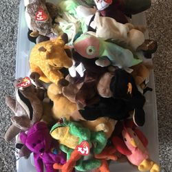 Many Beanie Babies