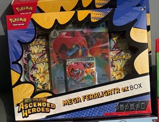 Feraligtr ex box