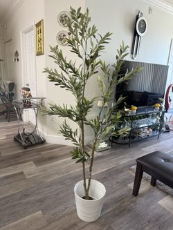 Pretty artificial plant Olive tree 6 ft tall comes with tall planter ! Brand new