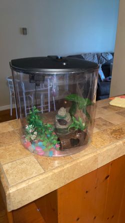 5 gallon betta fish tank