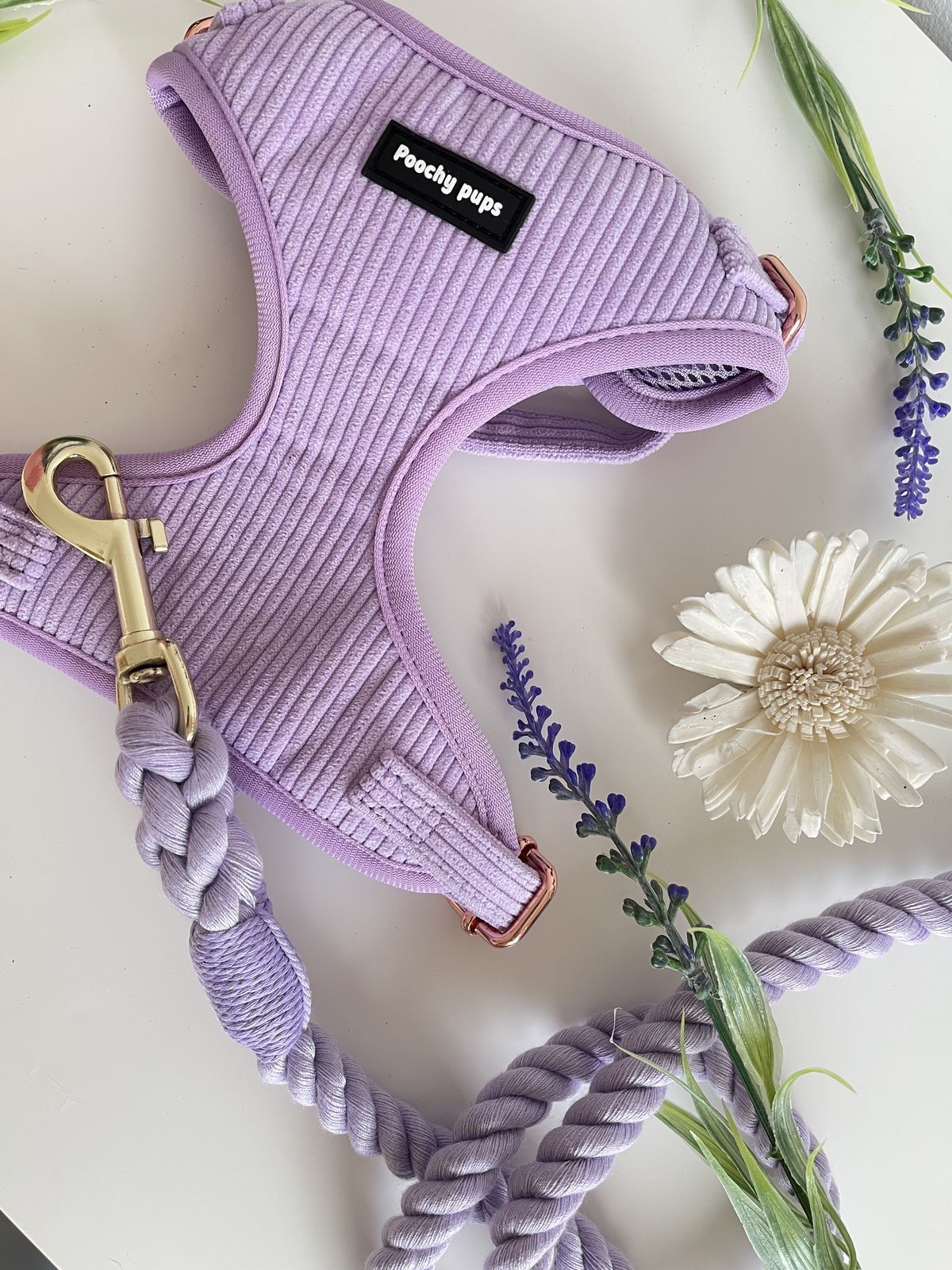 Corduroy Lilac Dog Harness