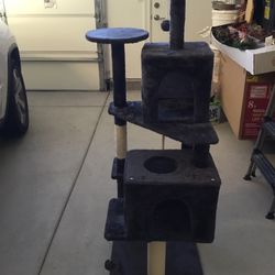 Cat Stand