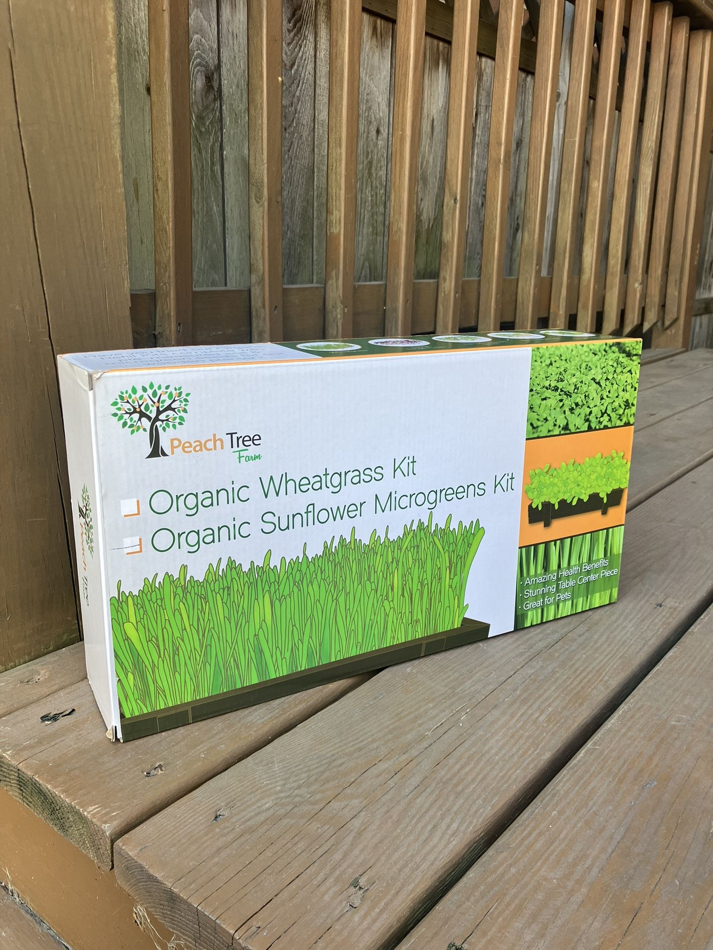 Organic Sunflower Microgreens Kit - Brand New