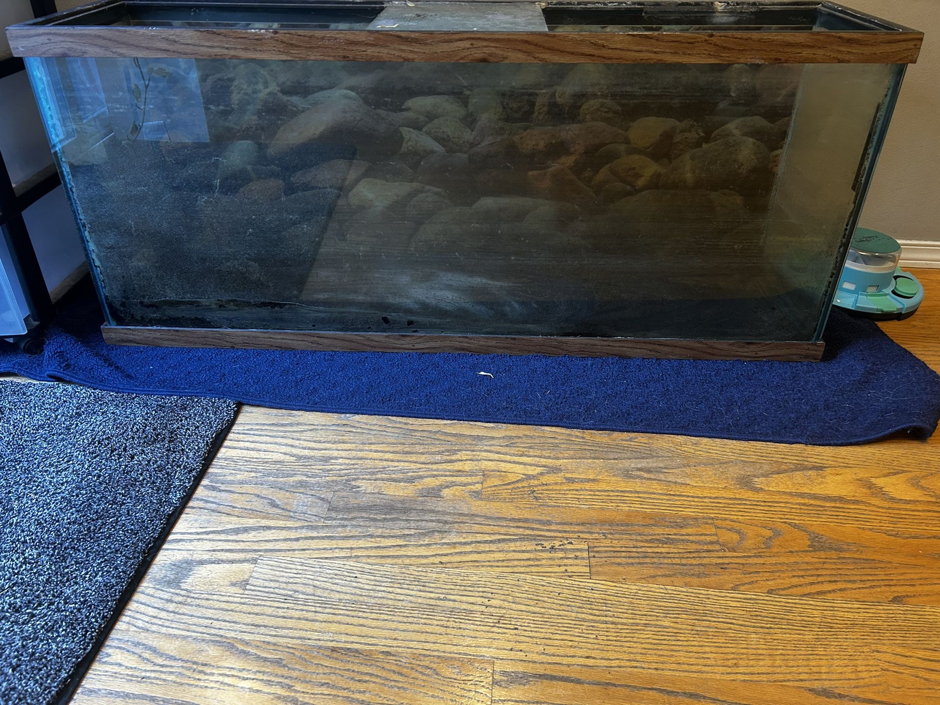 55 Gallon Fish Tank