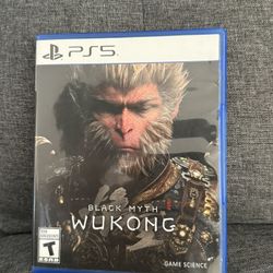 Black Myth Wukong 