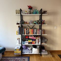 Modern Minimalist Bookcase