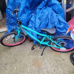 Guardian Ethos 20 Inch Large Kids Bike, Purple and Aqua