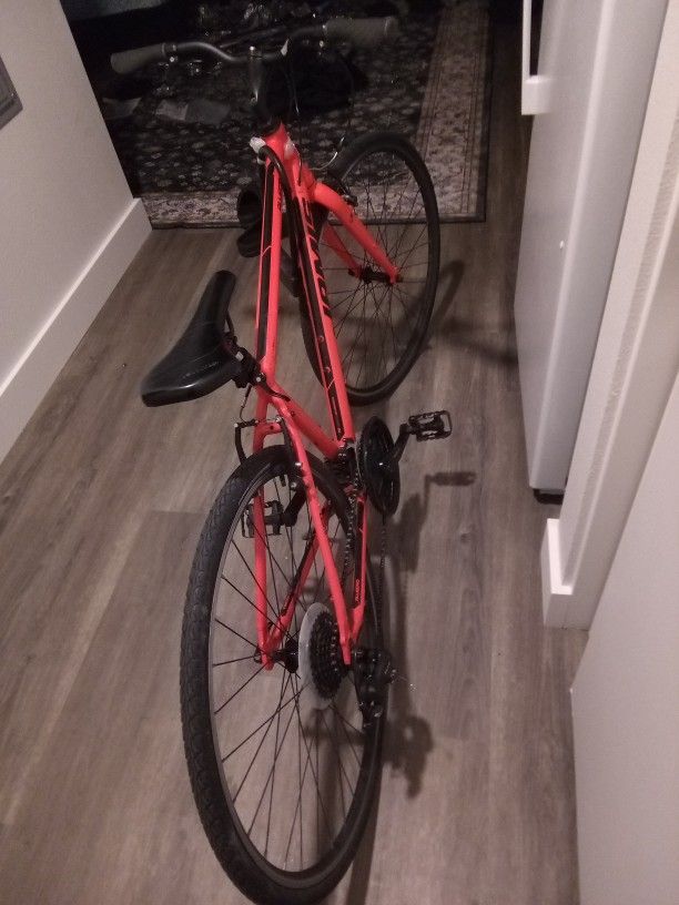 Very Nice Jamis Allegro