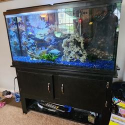 55Gal Fish Tank 