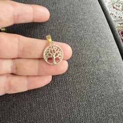 Beautiful Pendant 