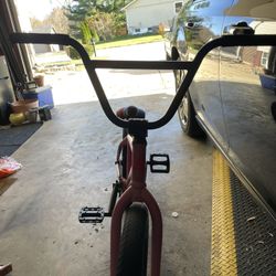 Sunday Bmx Aaron Ross Signature Frame 