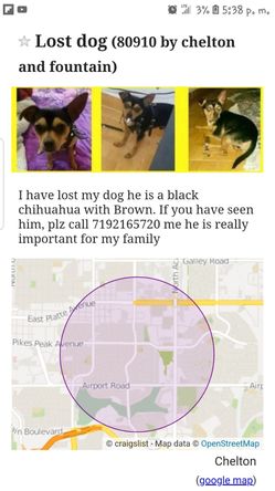 Missing pup
