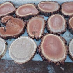WOOD.  SLICES!-.......