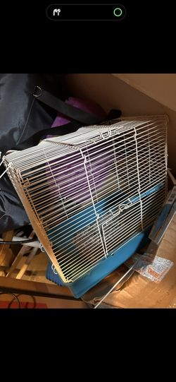 Guinea Pig Or Small Critter Cage