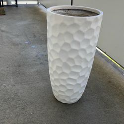Plant Pot
